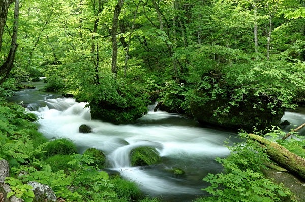 幻の絶景ドラゴンアイ!東北4県&豪華18か所の名物グルメと景色満喫の旅4泊5日贅沢ツアー1